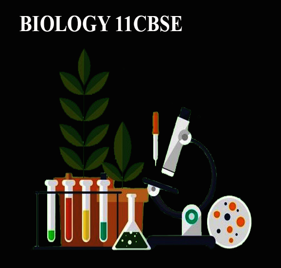 Biology
